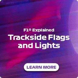 F1® Explained: What do the trackside flags and lights mean?