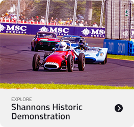 Shannons Historic Demonstration