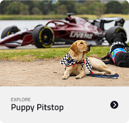 Puppy Pitstop