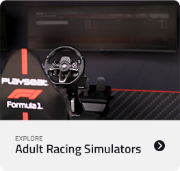 Adult Racing Simulators