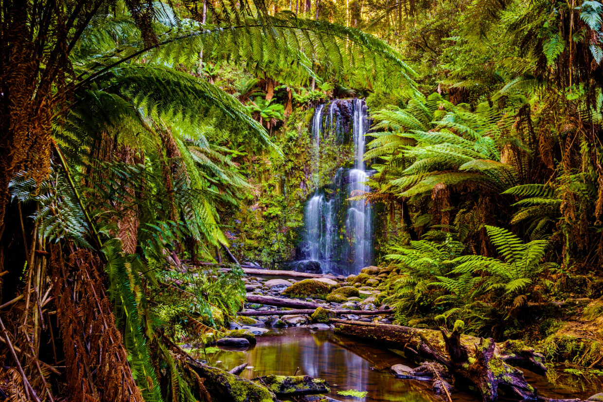 FOR PRECINCT GP22 GREAT OCEAN ROAD 1